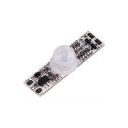KD-PIRM-002-Untitled.png