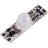 KD-PIRM-002-Untitled.png