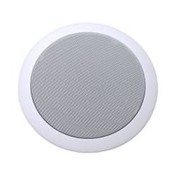 PENTON-RLS-5_T-penton-ceiling-speaker-6w-metal-ceiling-speakercs5-t-10246-p.jpg