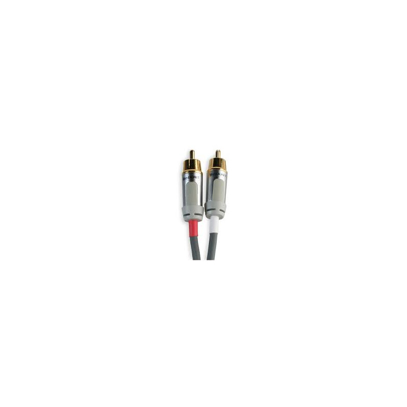 B5-AUD-1-download.jpg