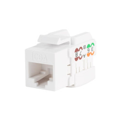 C4-WP-CAT6A-RJ45-WH-WP-CAT6A-RJ45-WH.jpg