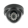IGV-PD22-150x150.jpg